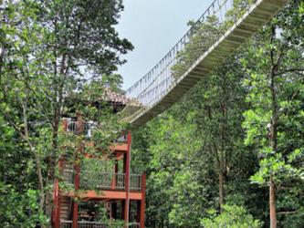 Pulau Kukup Johor National Park