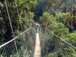 Taman Negara National Park