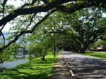 Taiping Lake Gardens