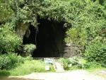 Gomantong Caves