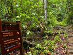 Gunung Gading National Park
